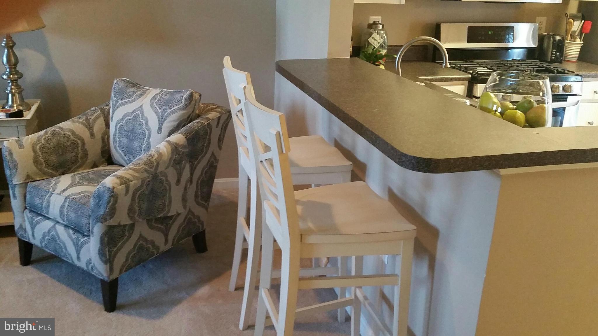 PARKSIDE AT ASHBURN - Residential