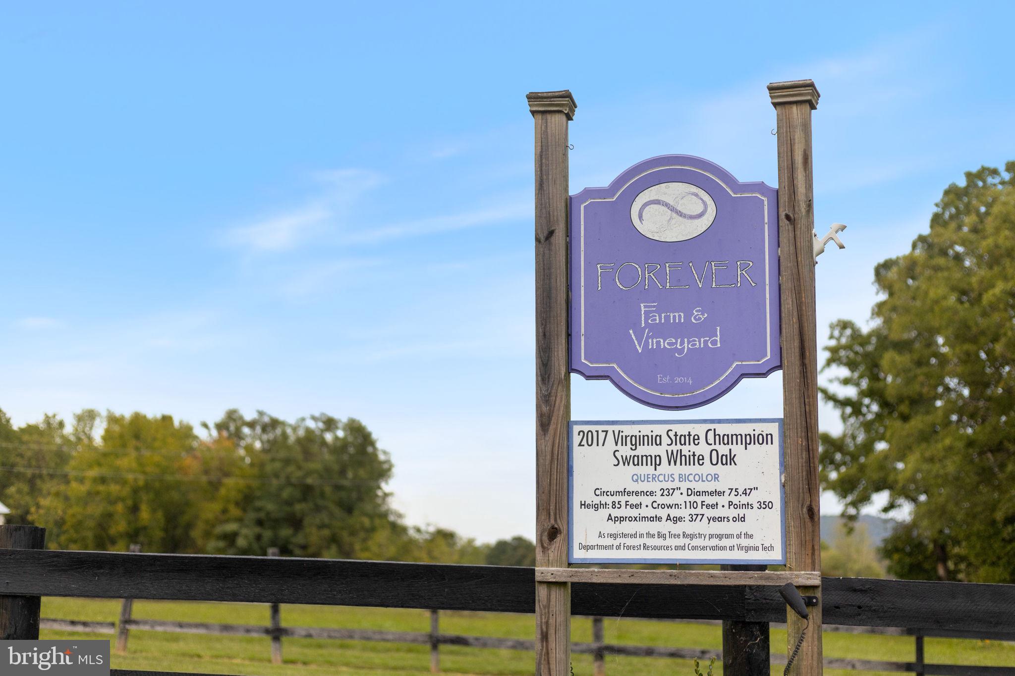 HOUGH FARM - Residential