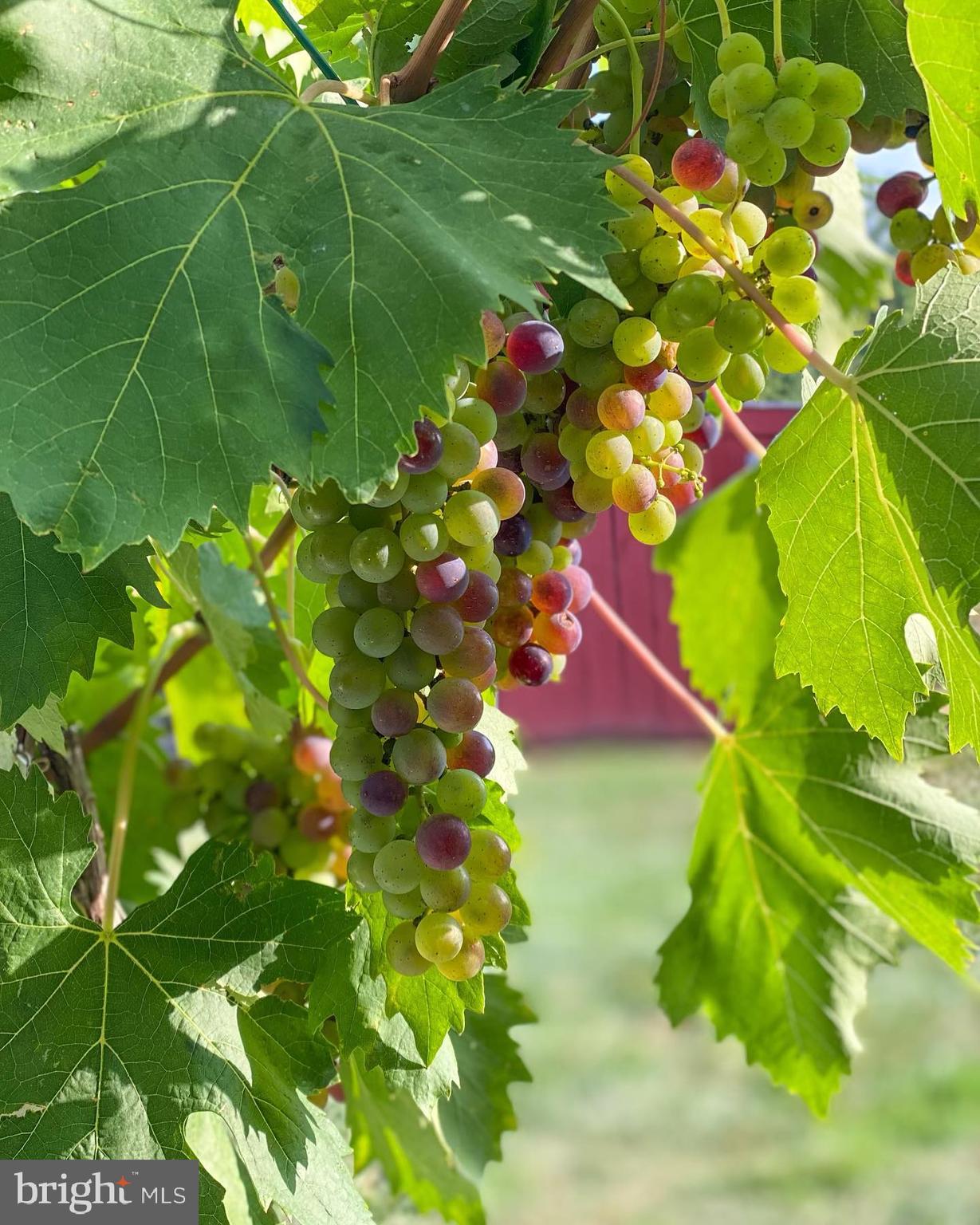 HOUGH FARM - Residential