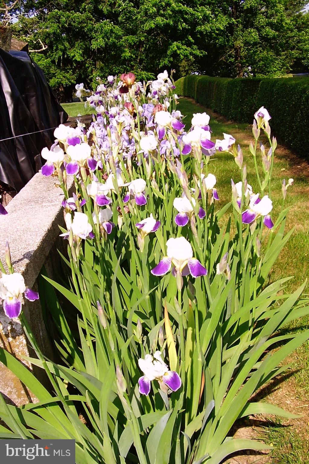 ROCK RUN - Residential