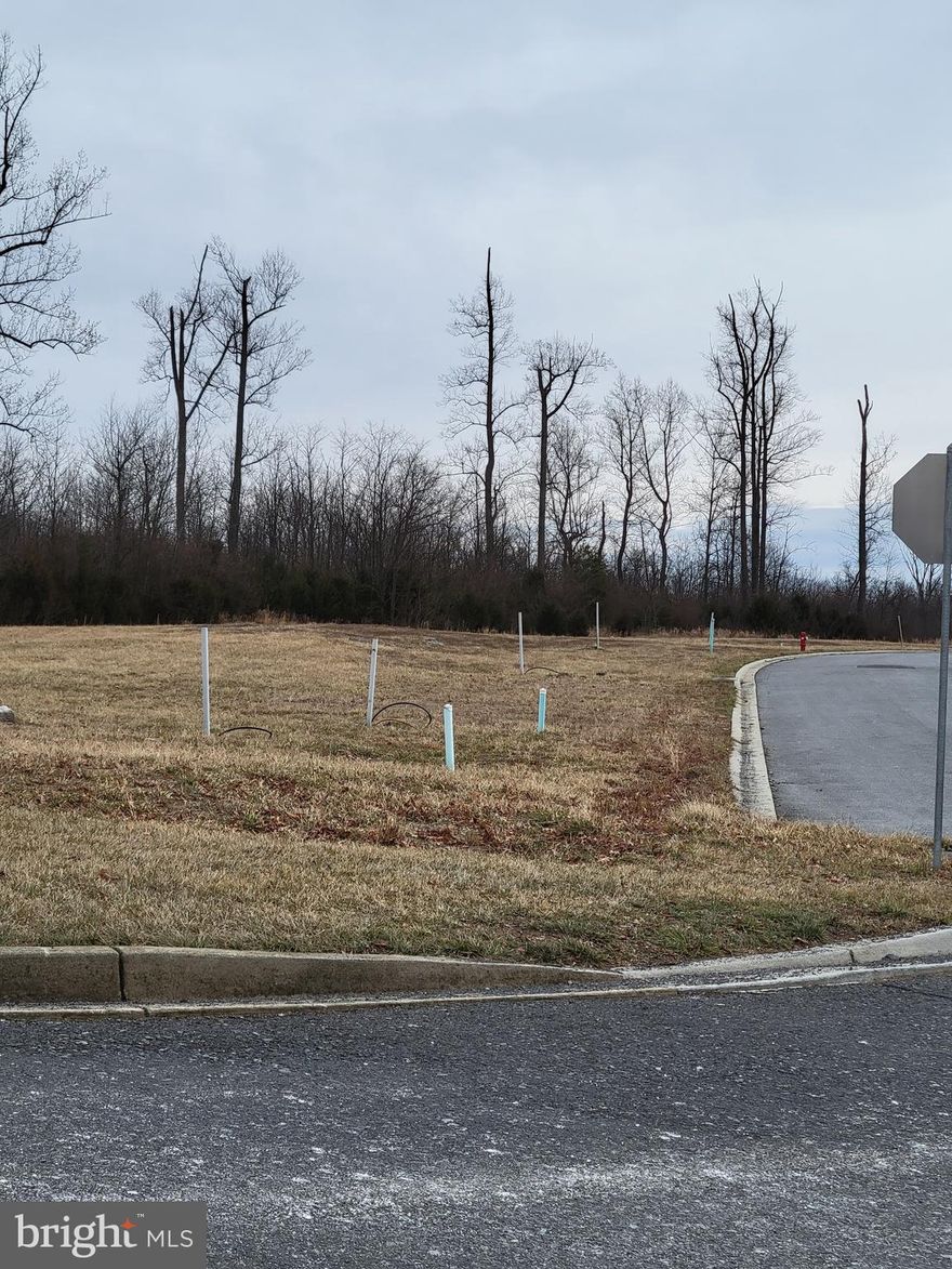 Nice building lot in desirable North Berkeley location at the established The Lakes at Martinsburg community.  Public water and sewer available for hook up, community LP service.  Community has tot lot and dog park. Close to shopping, restaurants, medical. Great commuter location with easy access to Spring Mills and Maryland.  Build your dream home in West Virginia!