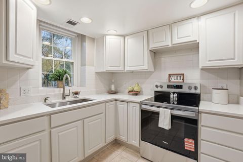 3059 S BUCHANAN STREET B1 ARLINGTON VA 22206