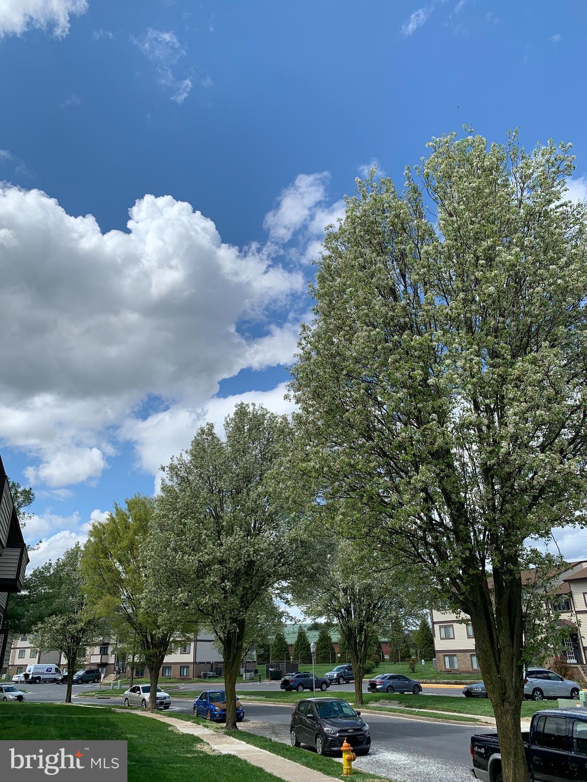 AMBERTOWNE - Residential Lease