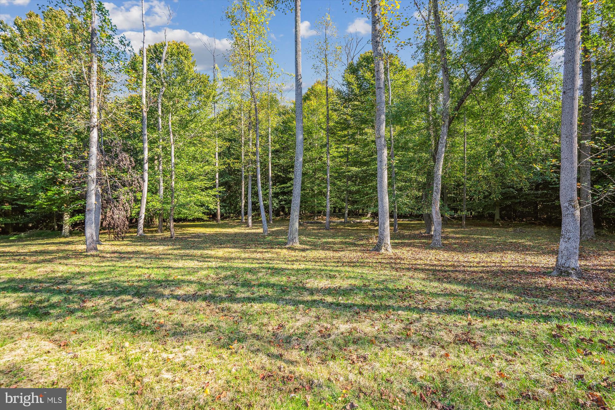 BEAUMONT - Residential