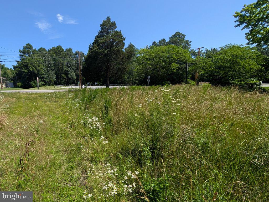 20225 POINT LOOKOUT ROAD