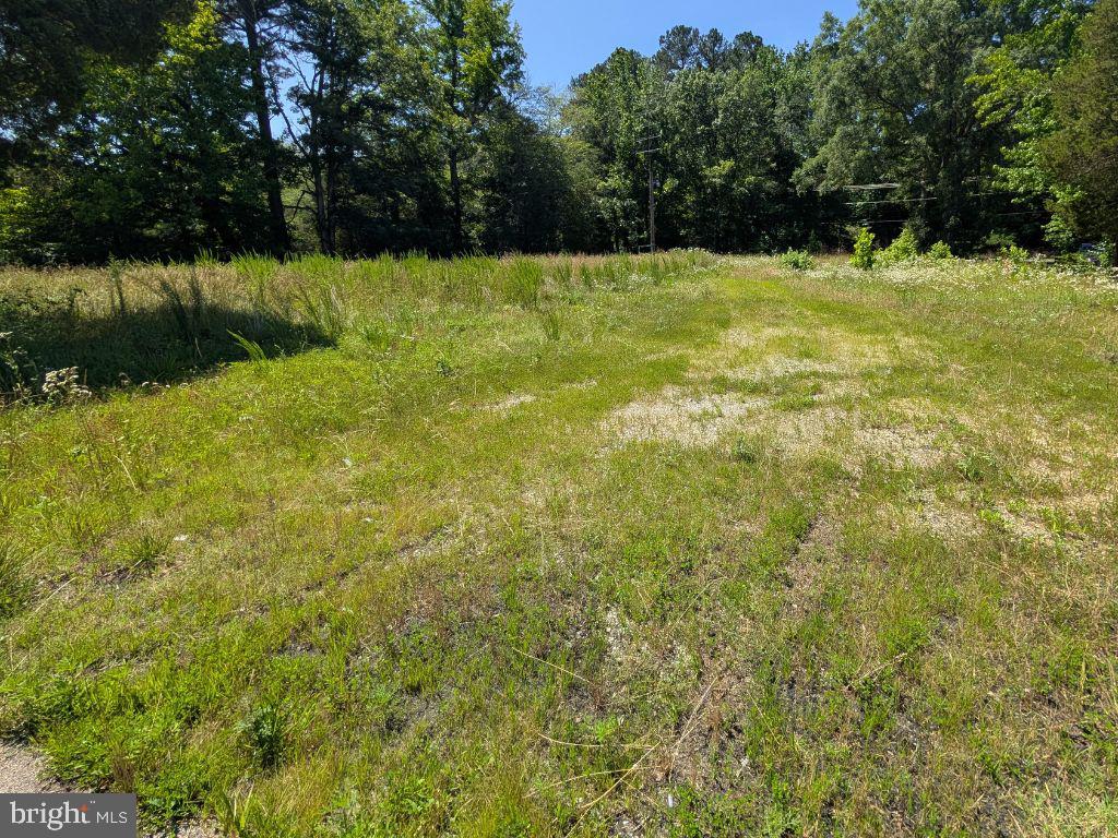 20225 POINT LOOKOUT ROAD