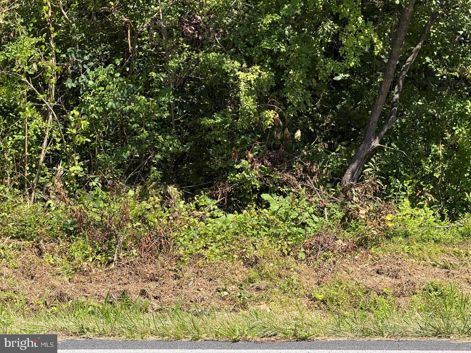 0 S OLD BETHLEHEM PIKE