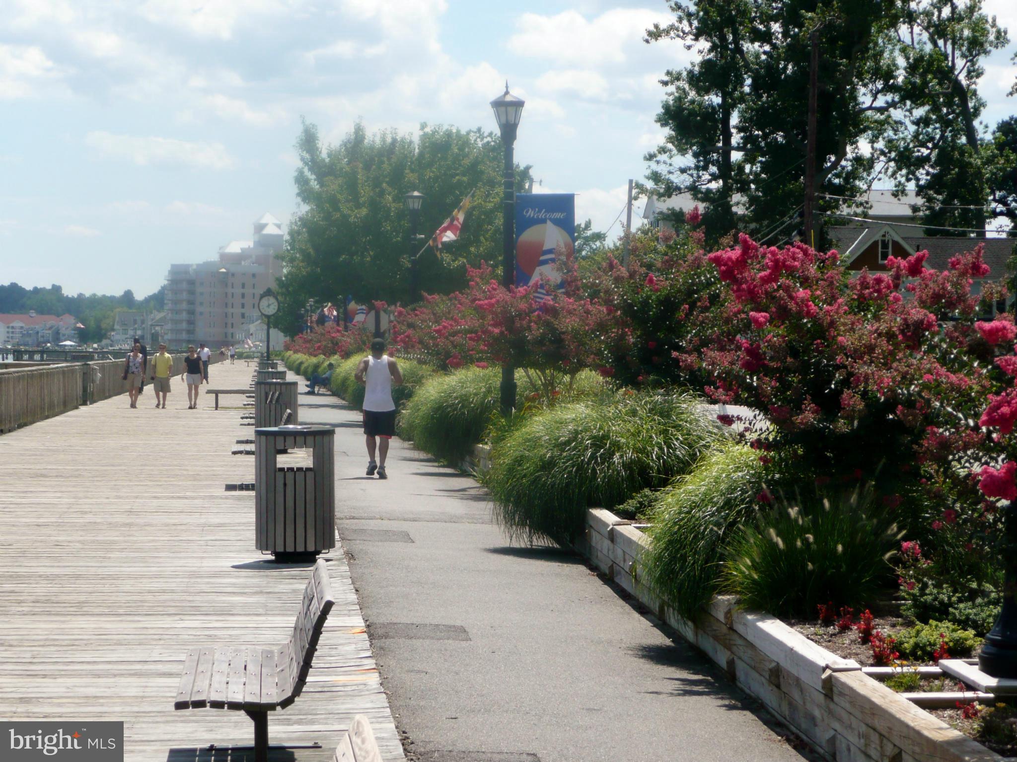 BAYWALK CONDOS - Residential Lease