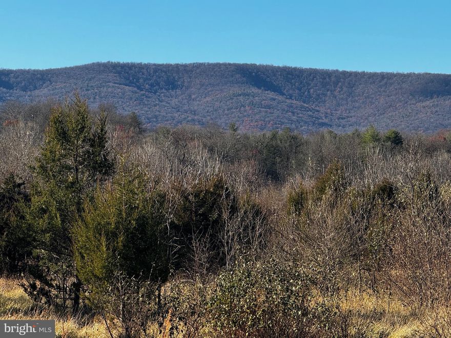 Discover the perfect canvas for your dream home on this breathtaking 20.57-acre lot, featuring majestic mountain views, and a picturesque pond at the rear of the property. With light restrictions and covenants, this property offers flexibility while preserving its natural beauty.

Whether you're seeking a private retreat or a place to build your forever home, this expansive lot provides the ideal setting for tranquil country living. Additionally, the property is enrolled in the Wetland Reserve Program (WRP), ensuring the conservation of its natural resources. Buyers are encouraged to review WRP guidelines for permitted land use.  Property has been previously approved for a Class II traditional septic.

Don't miss this rare opportunity to own a piece of paradise—schedule your private tour today!