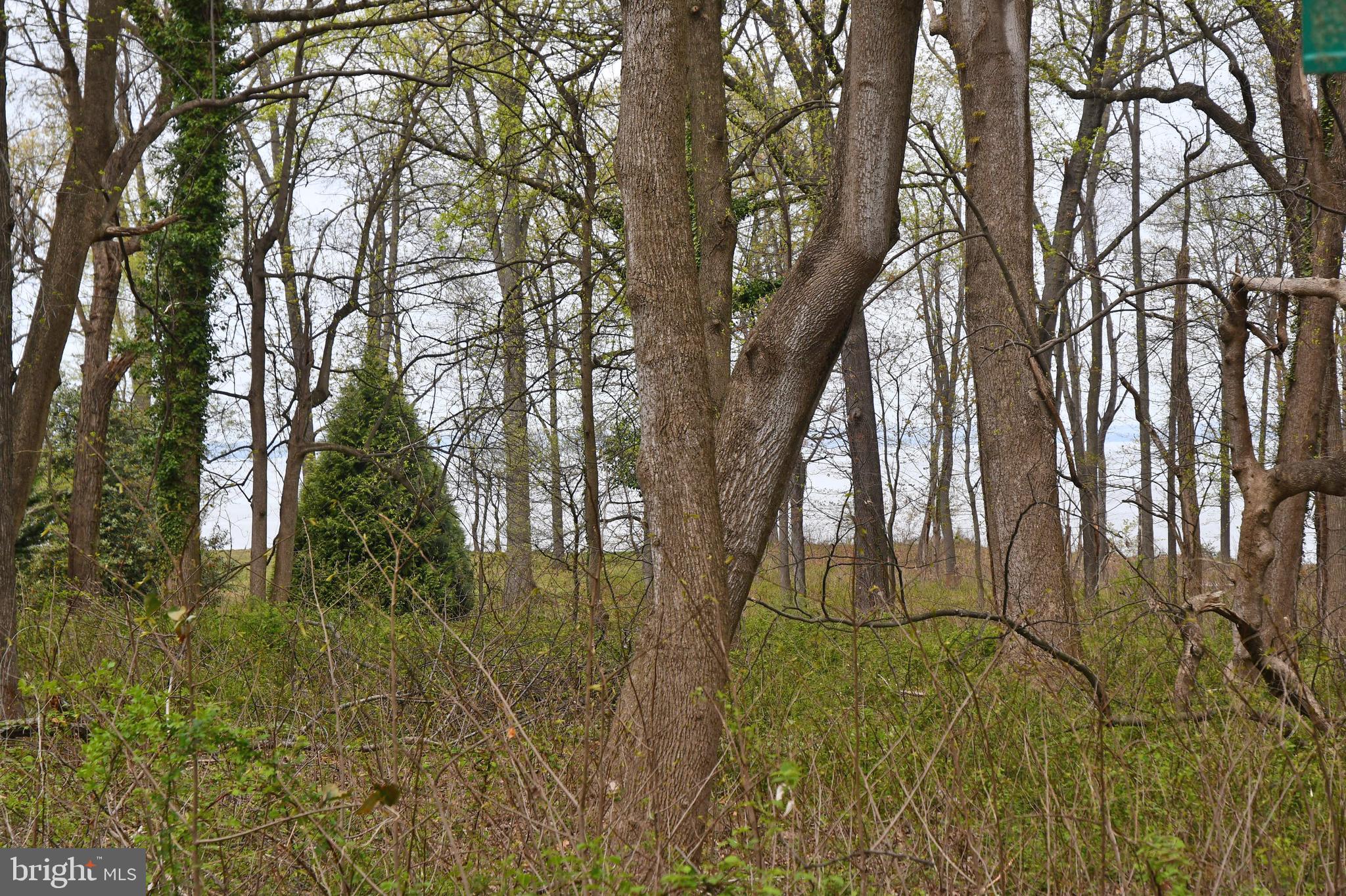 Lot 3 KENT AVENUE