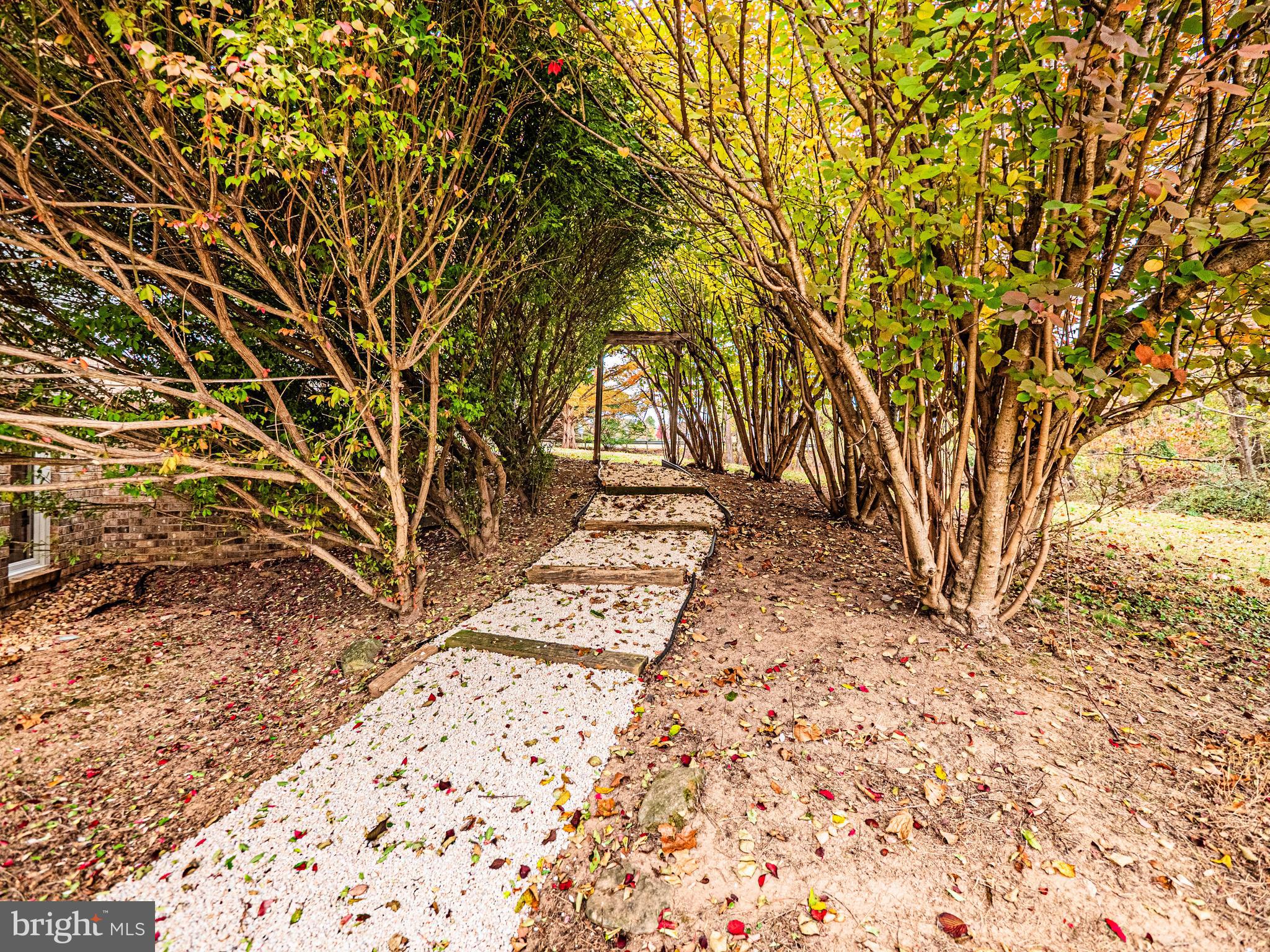 BANNER COUNTRY - Residential