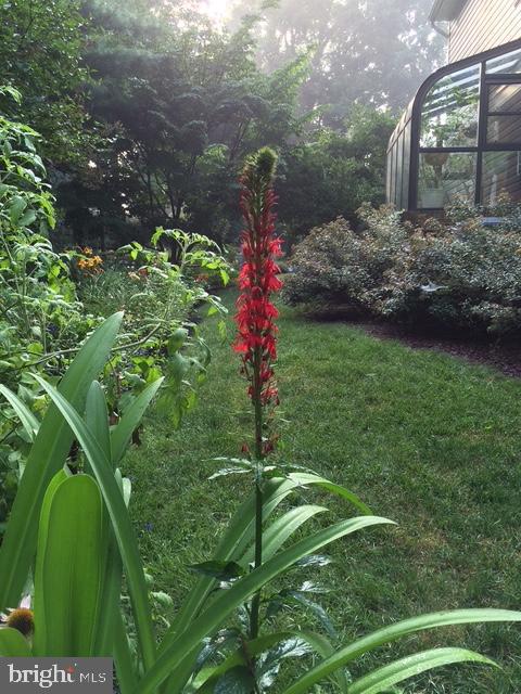 NEW FREEDOM BORO - Residential