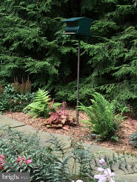 NEW FREEDOM BORO - Residential