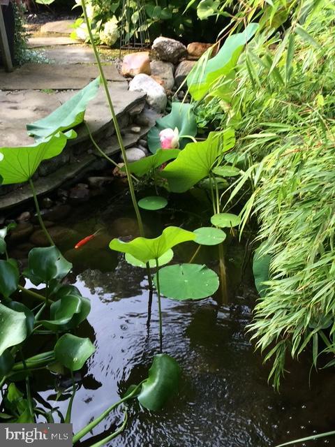 NEW FREEDOM BORO - Residential