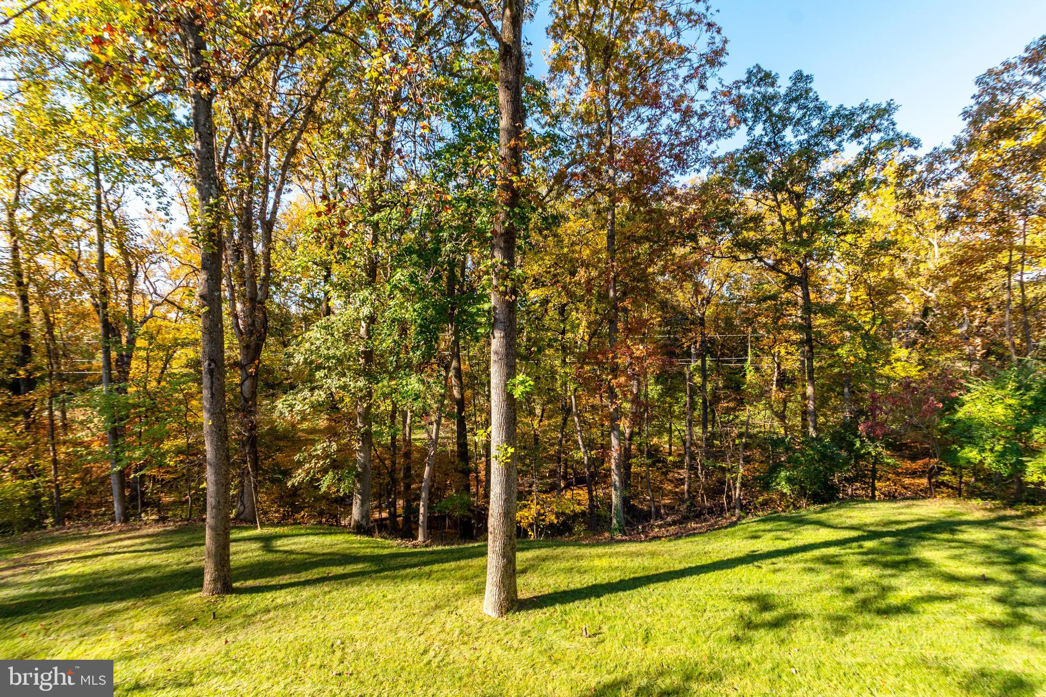 CHESTERBROOK MANOR - Residential