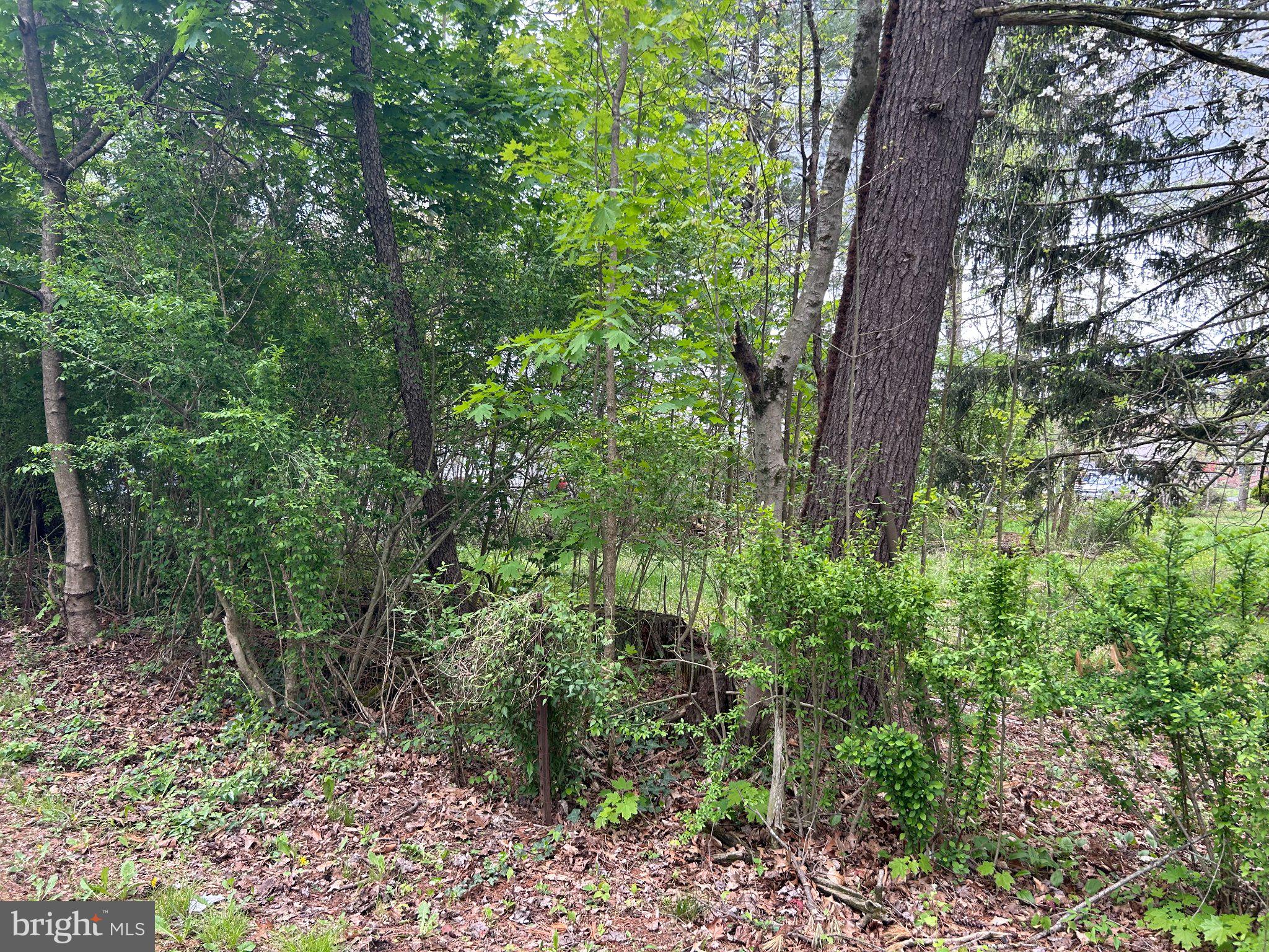 223 MAPLE BOULEVARD