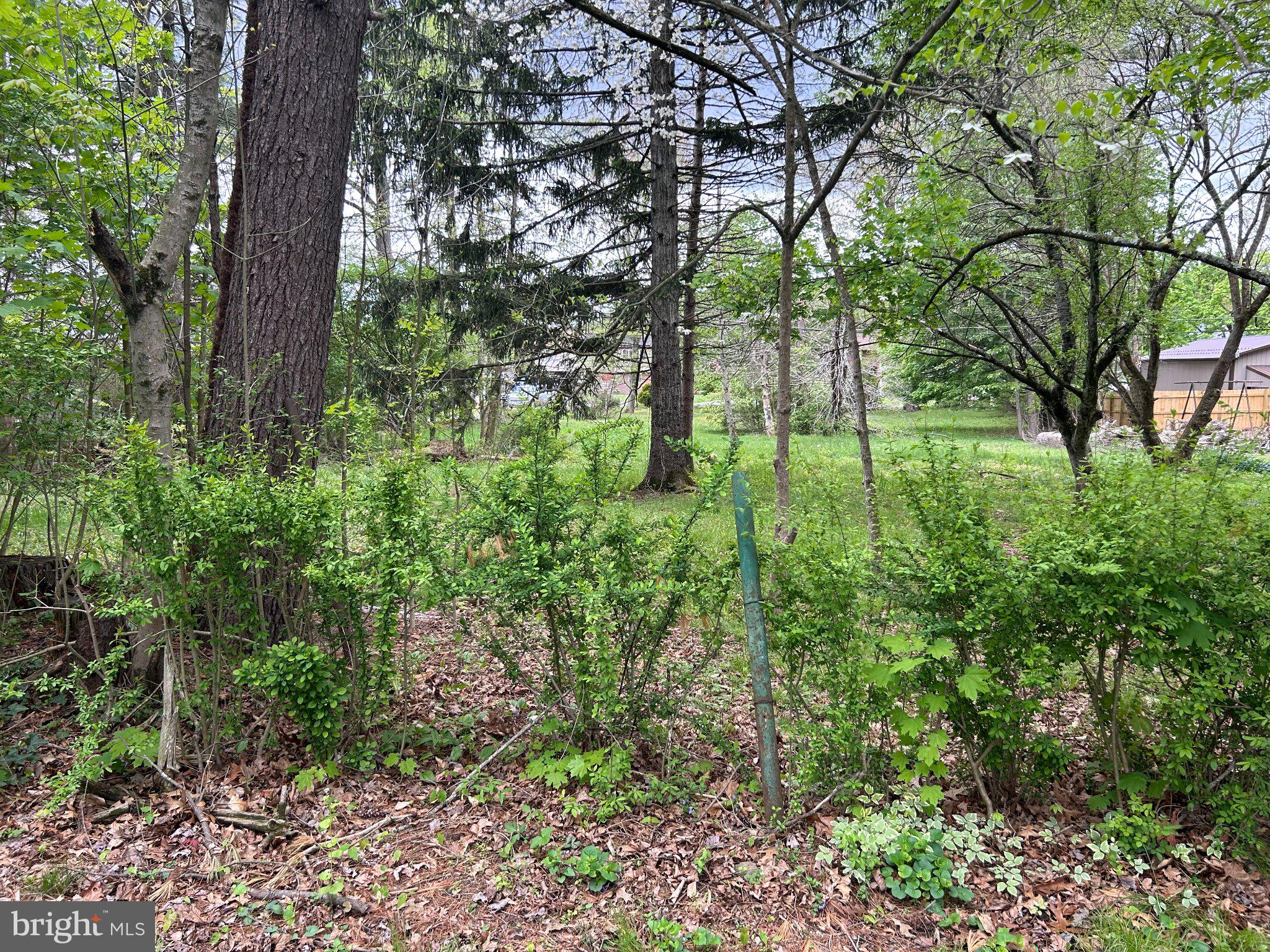 223 MAPLE BOULEVARD