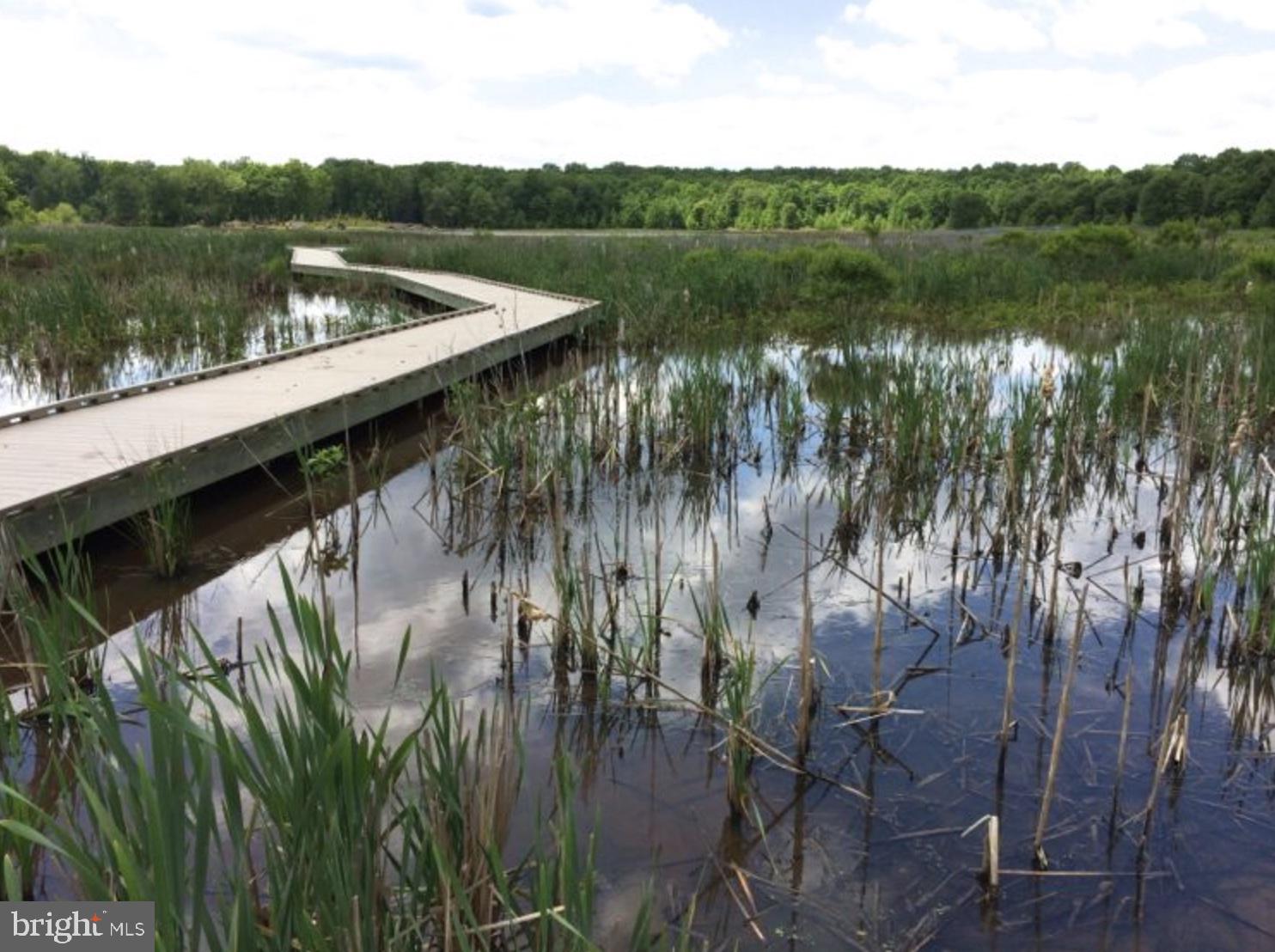 MOUNT VERNON SQUARE - Residential