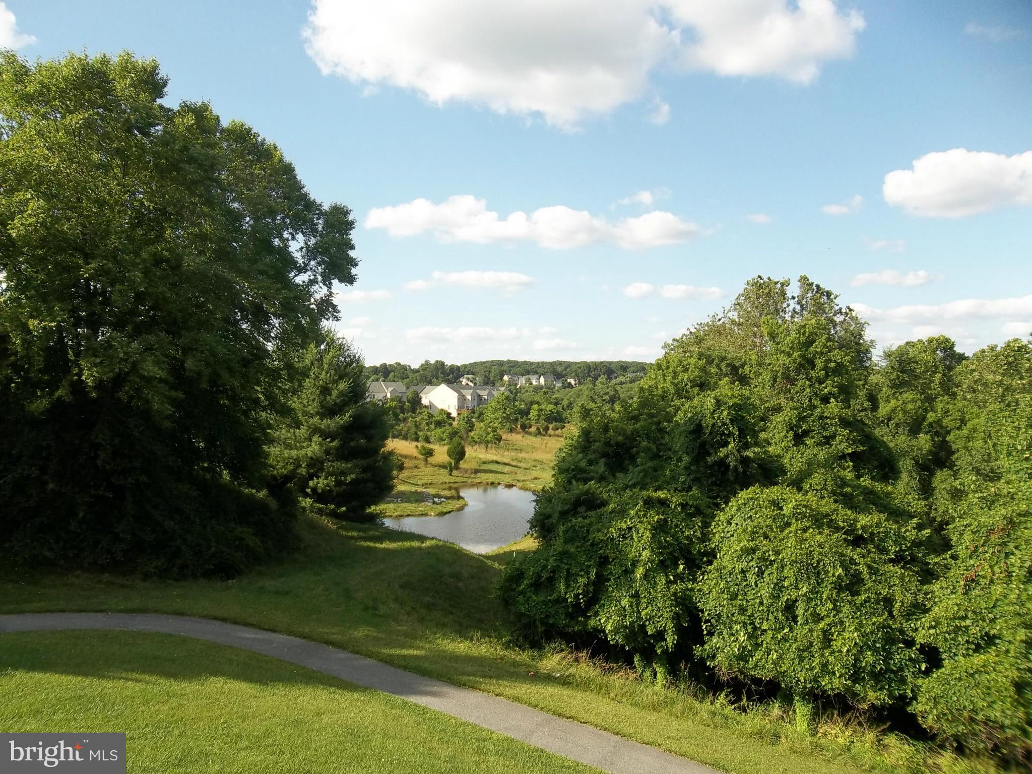 DANIEL'S MILL OVERLOOK - Residential