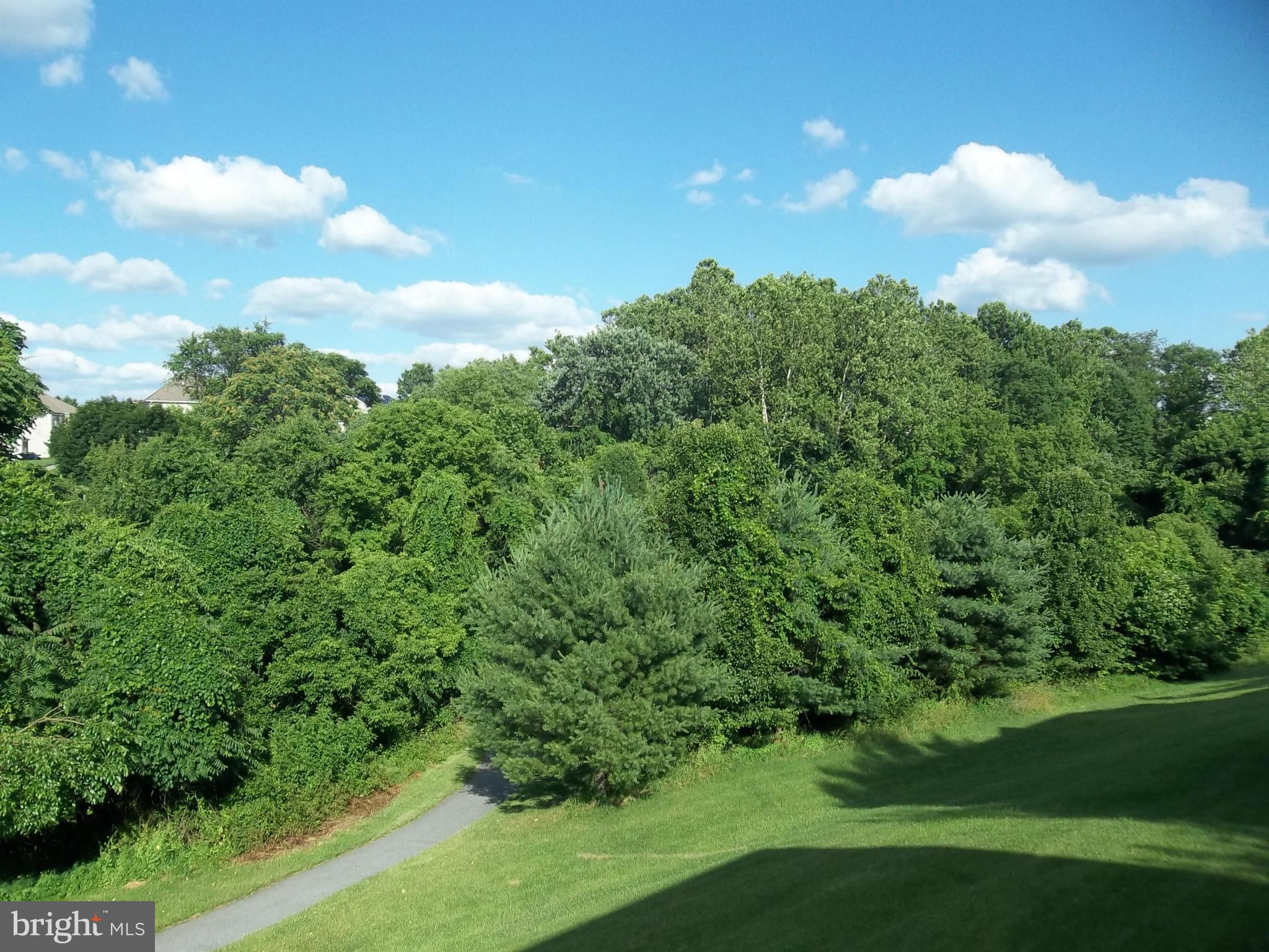 DANIEL'S MILL OVERLOOK - Residential