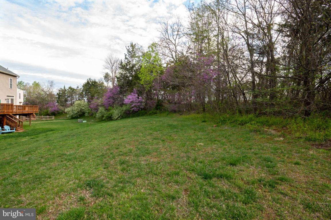 VIRGINIA OAKS - Residential