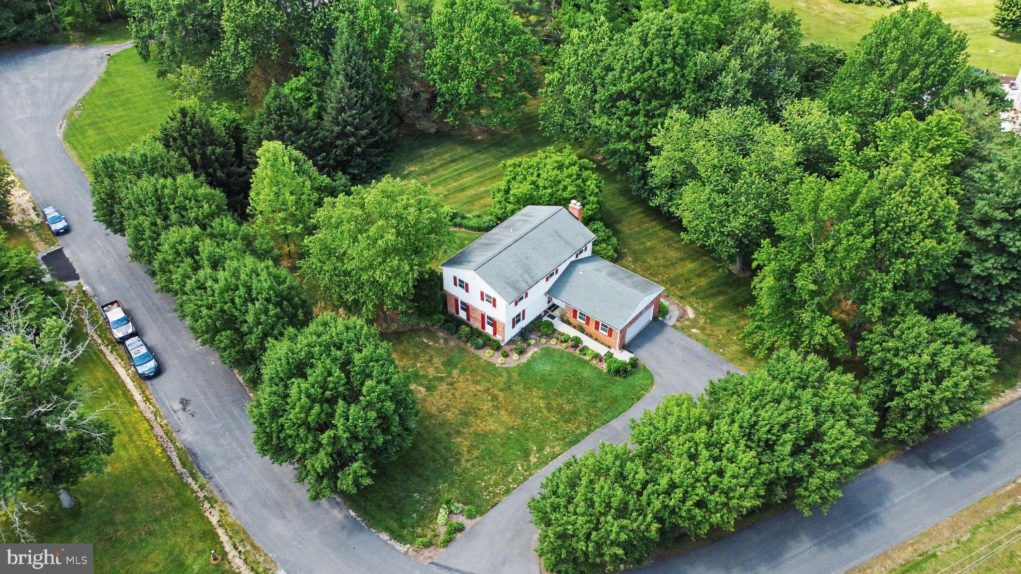 31 FILBERT LANE