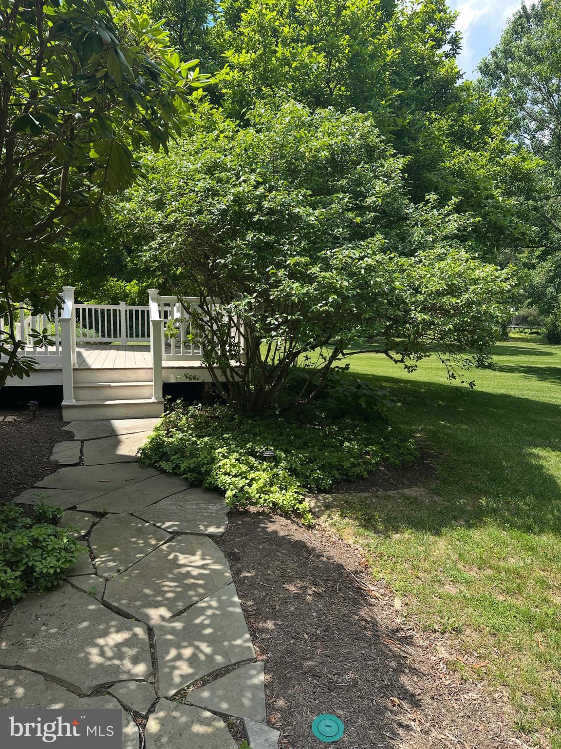 31 FILBERT LANE