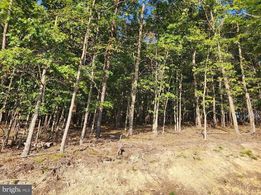 Wooded, sloped lot, conveniently located less than 2 miles from downtown Berkeley Springs, Town of Bath!  Bring your imagination to this raw piece of land and build your tiny home/cabin in wild and wonderful West Virginia!  (Parcel was originally 1.02 acres - Parcel is now .9316 acres - see map provided in documents.)
