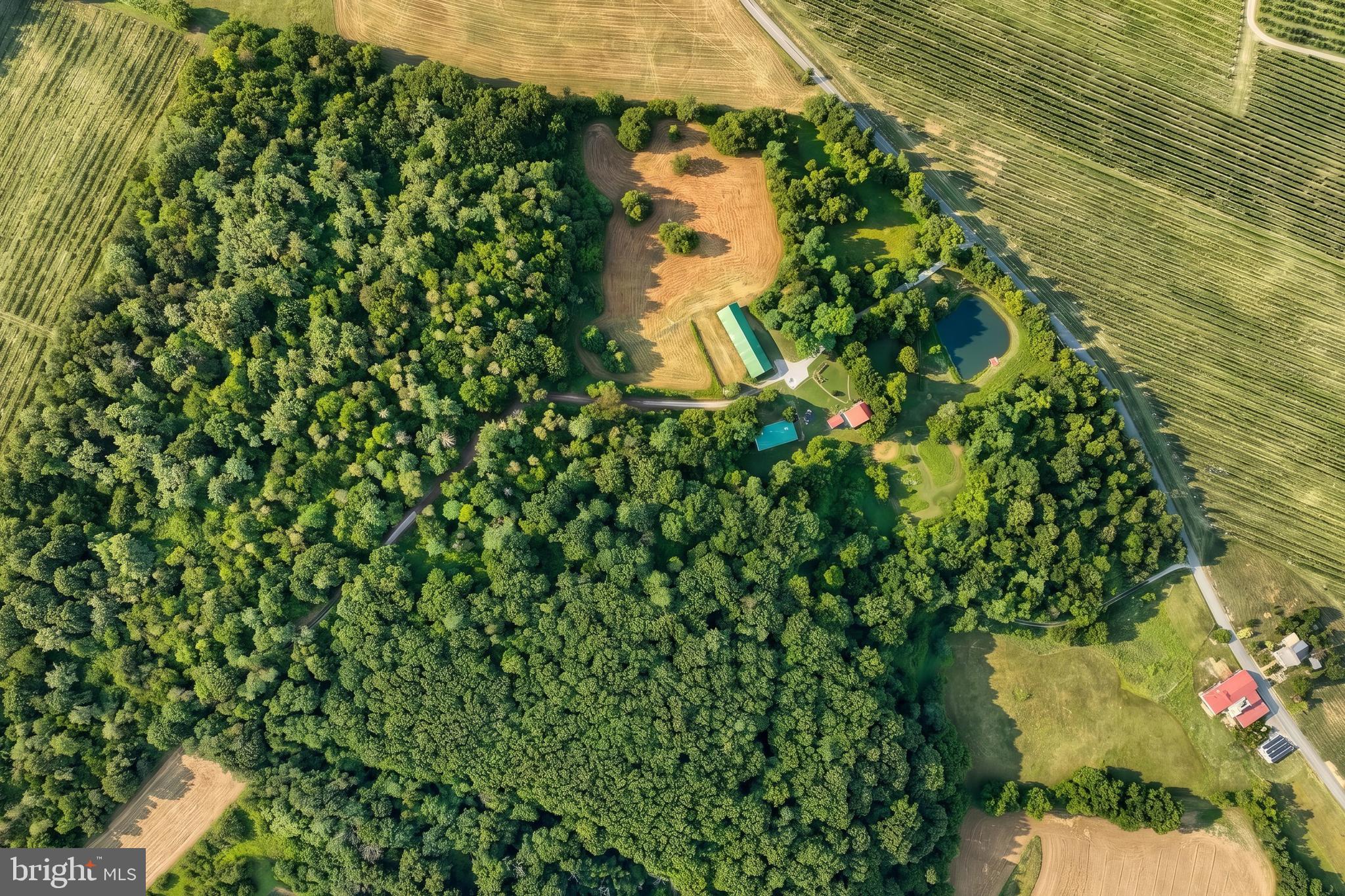 700 WHITE OAK TREE (VACANT LOT) ROAD