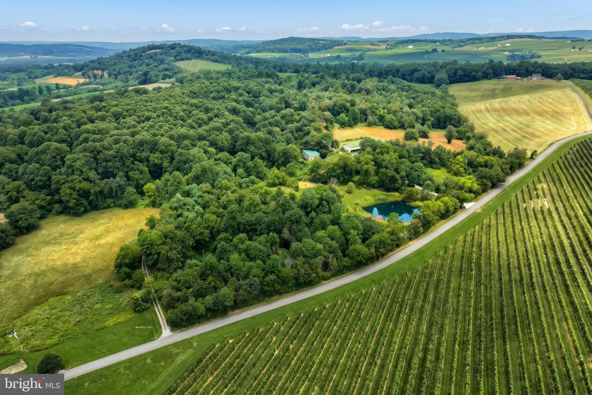700 WHITE OAK TREE (VACANT LOT) ROAD