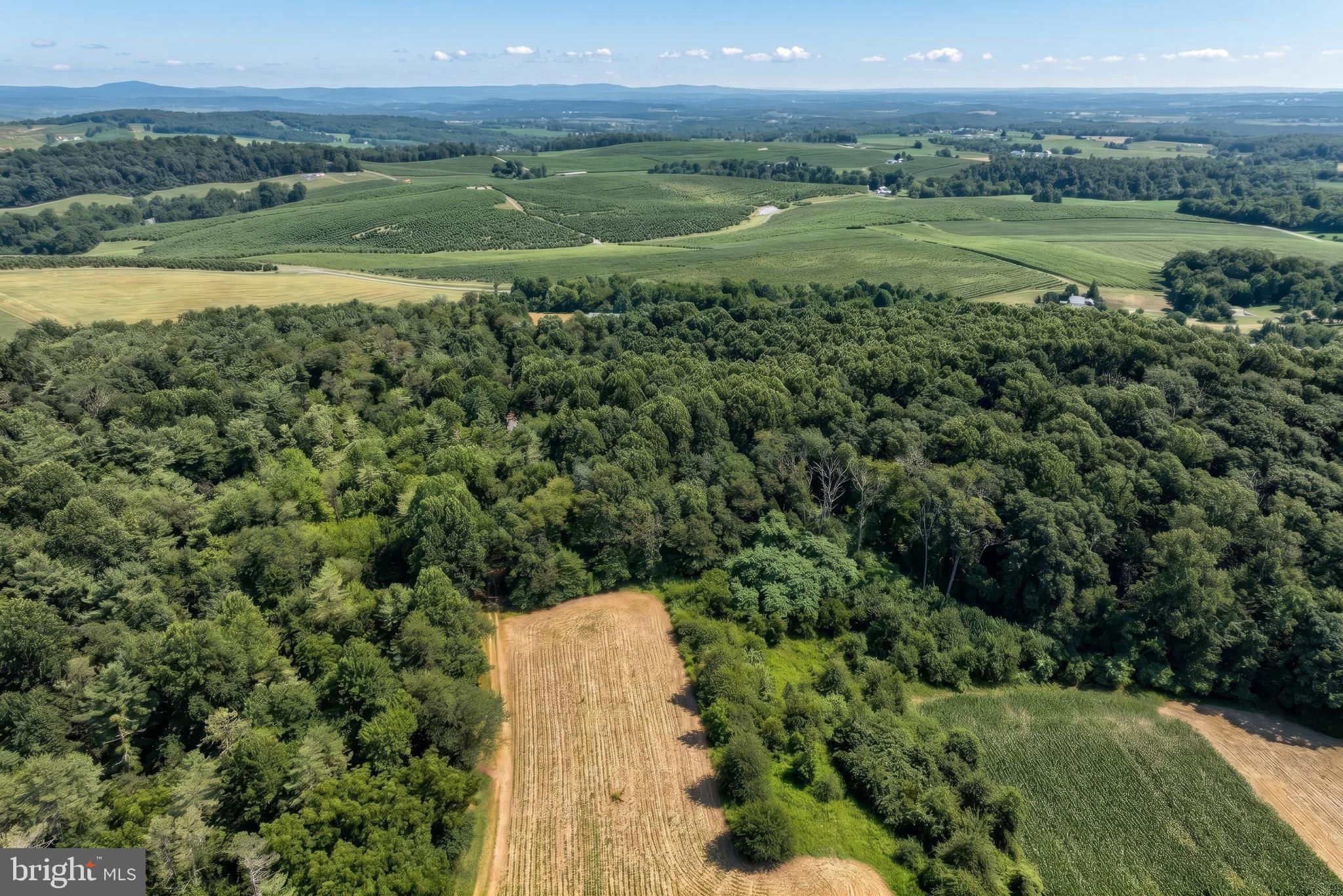 700 WHITE OAK TREE (VACANT LOT) ROAD