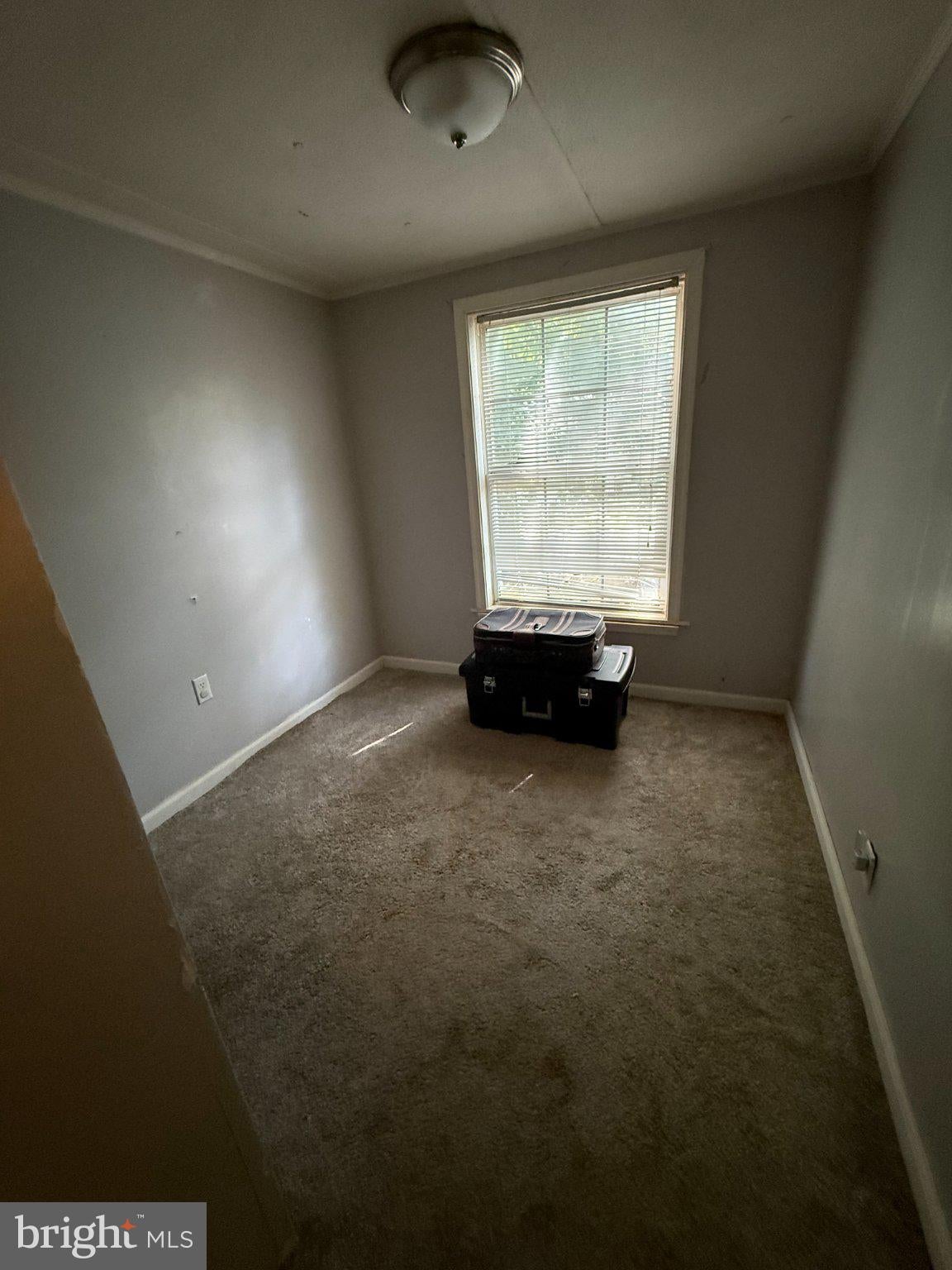 25677 CORNELIA STREET 40058