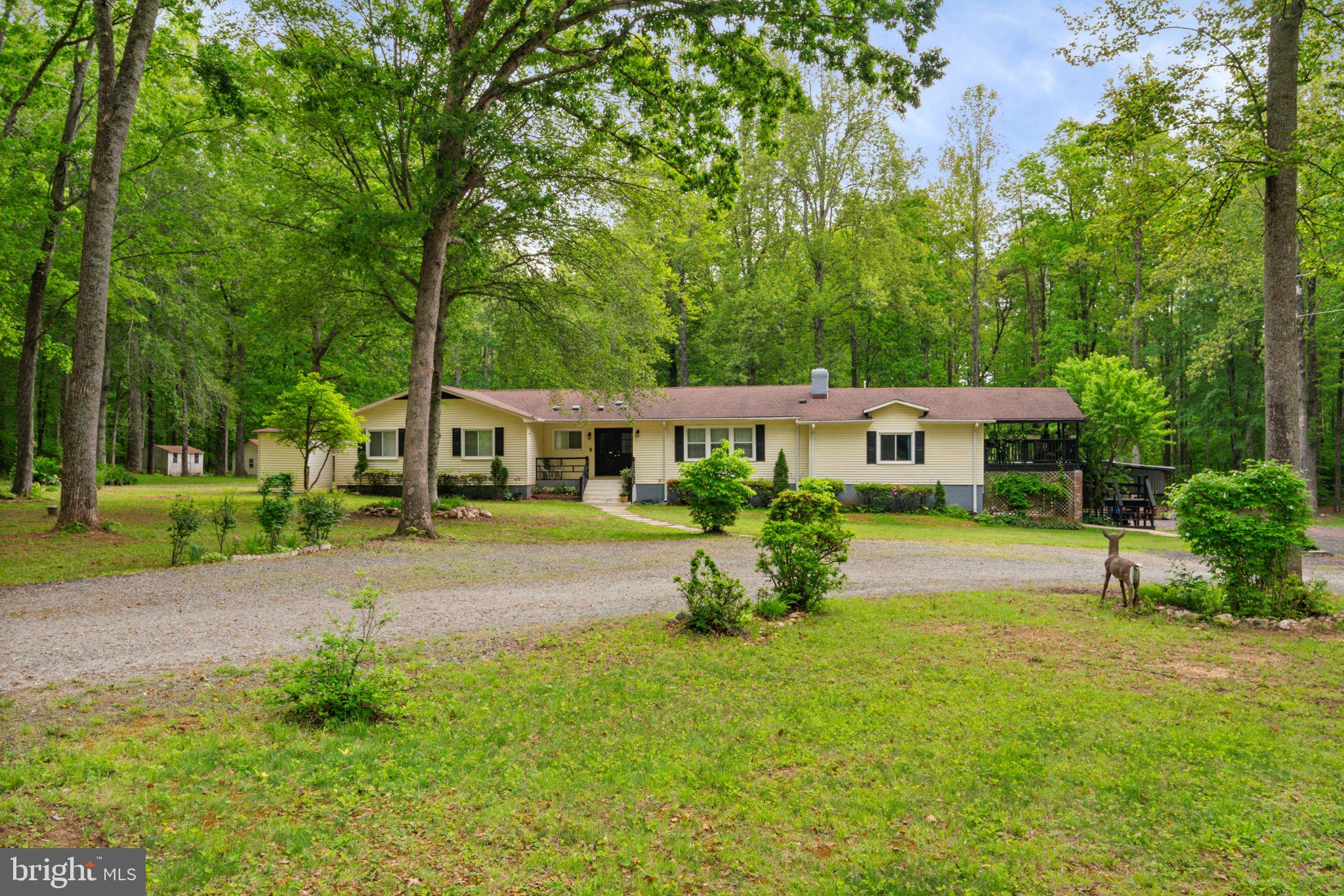 141 MEADOWS ROAD