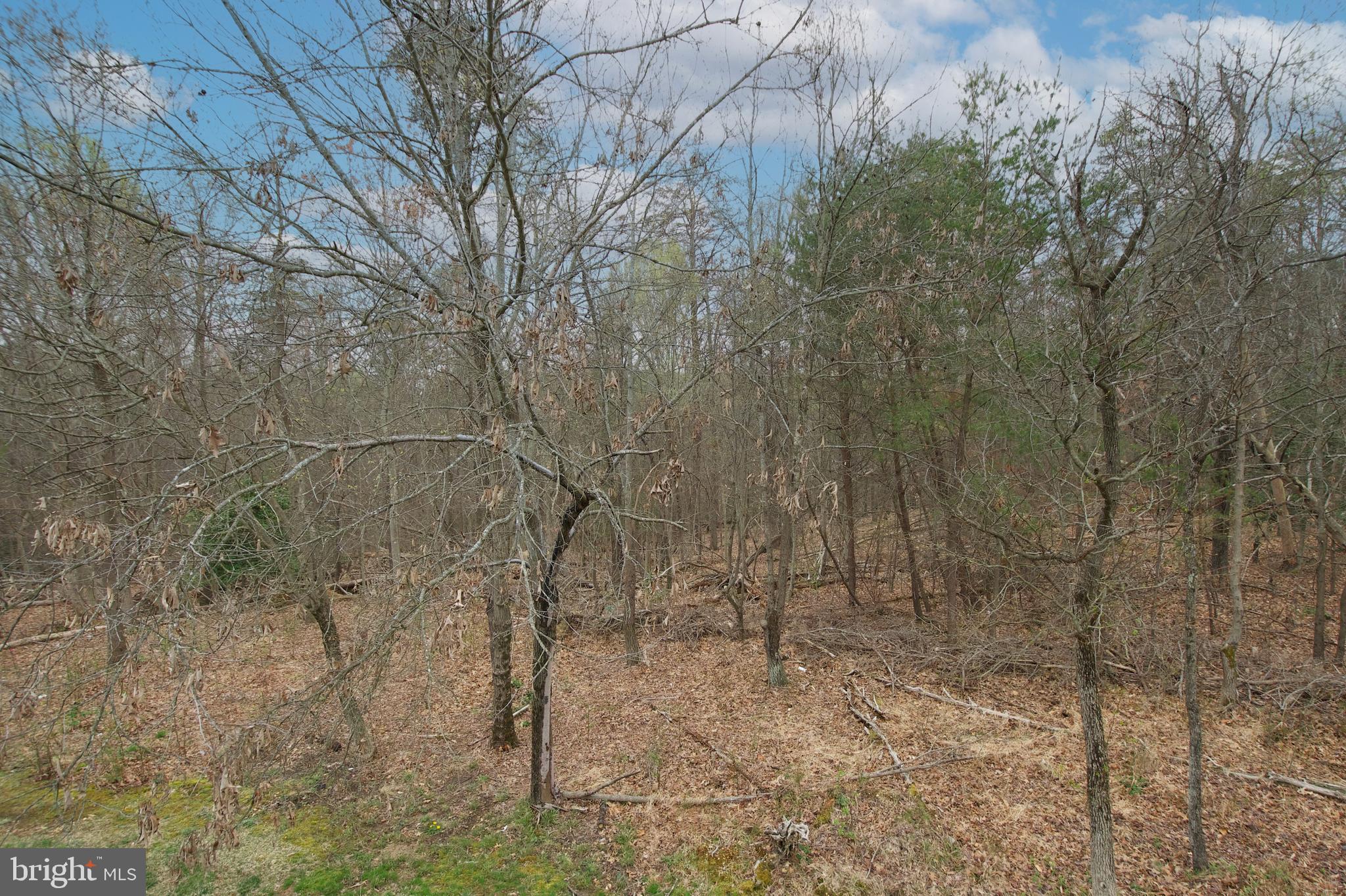 CHELTENHAM PARK - Residential