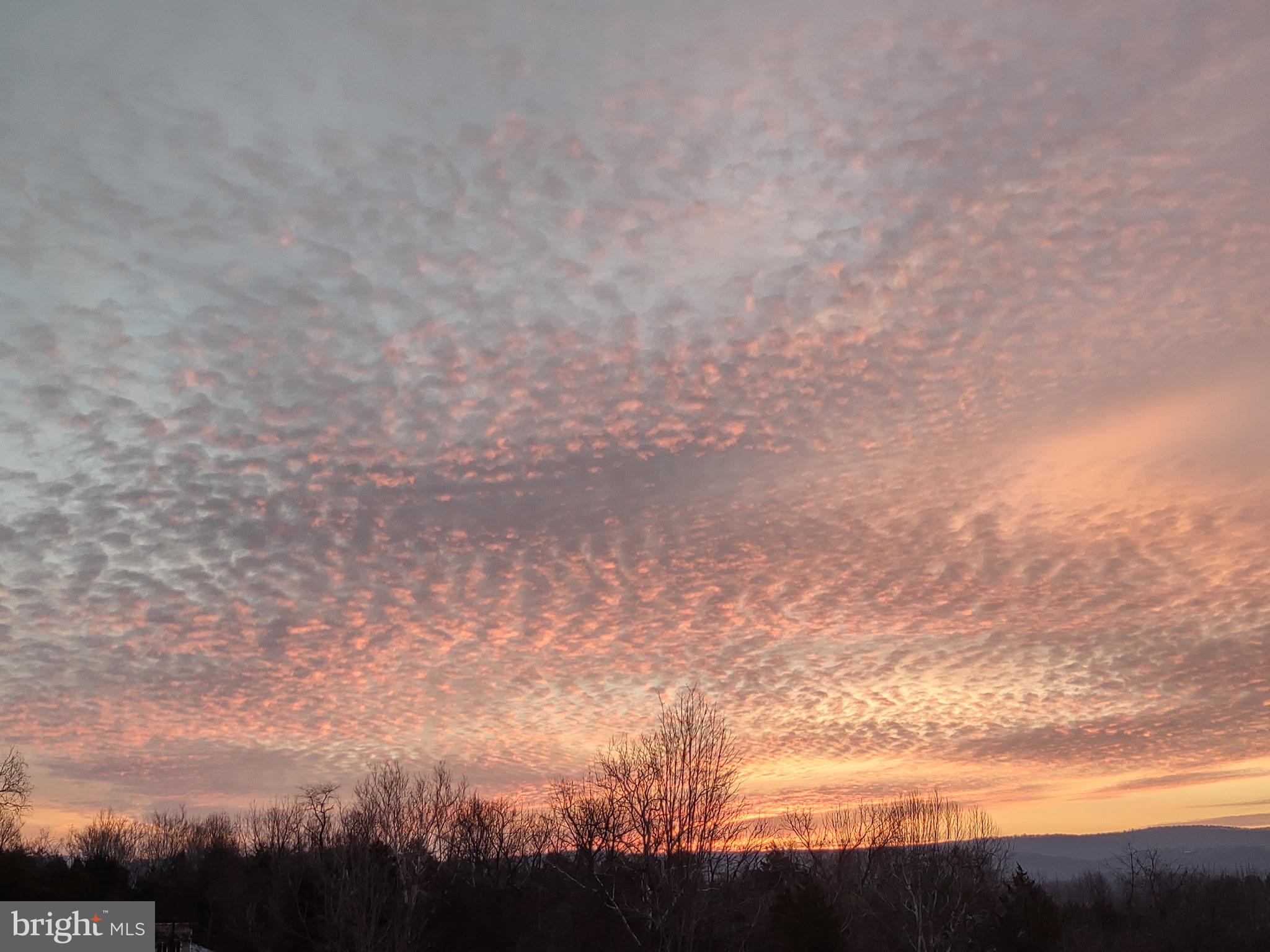 POTOMAC RIDGE - Residential