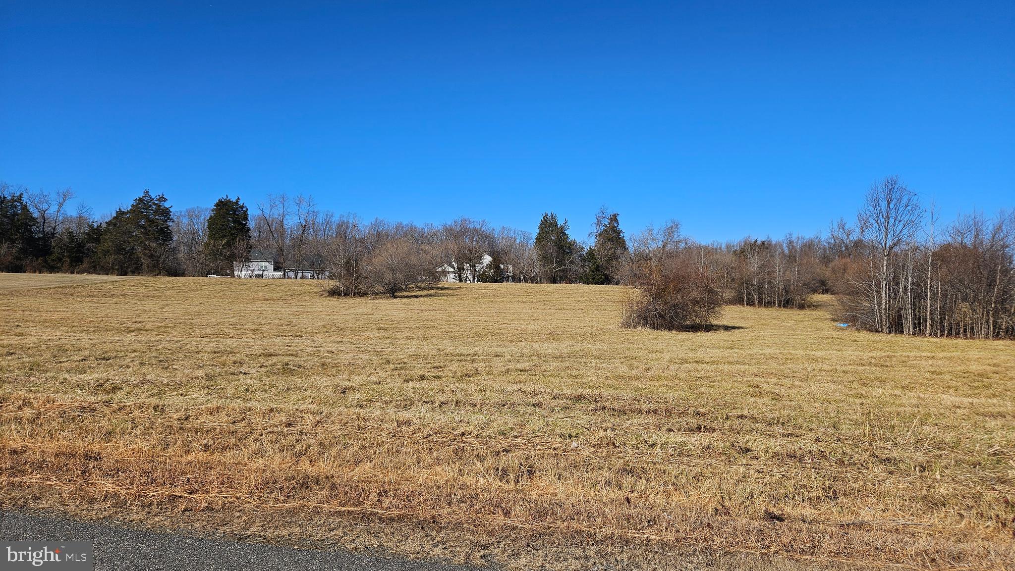 BRIDLEWOOD ESTATES - Land