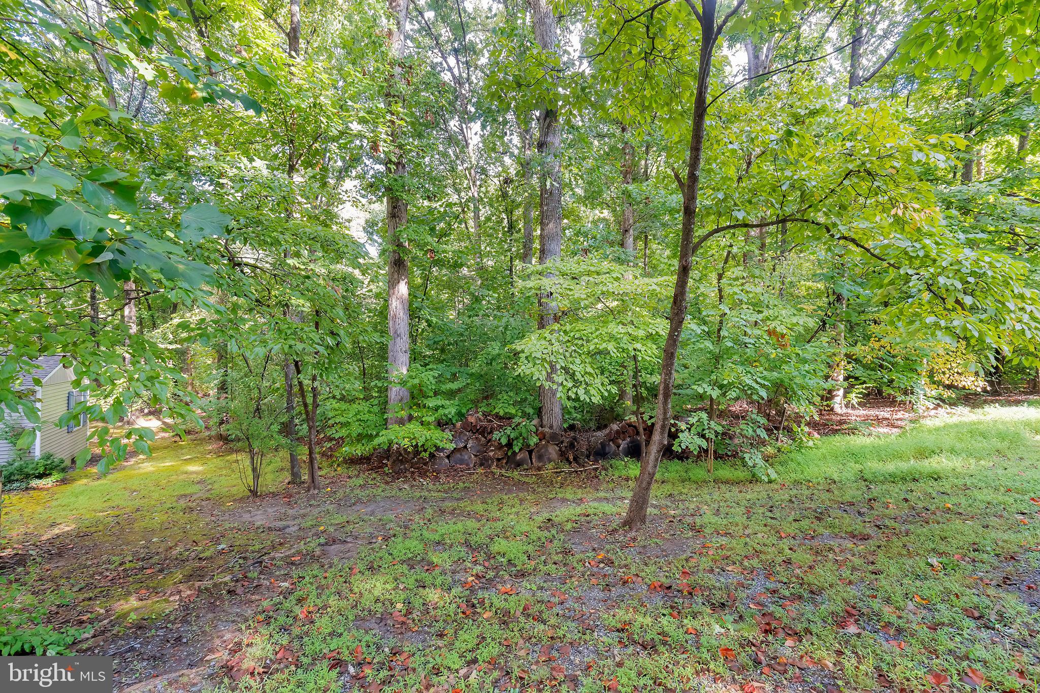 BLUE RIDGE SHORES - Residential Lease