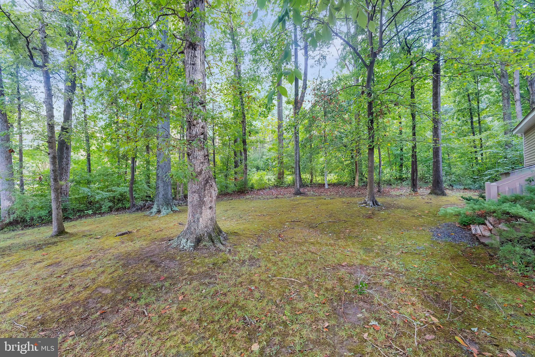 BLUE RIDGE SHORES - Residential Lease