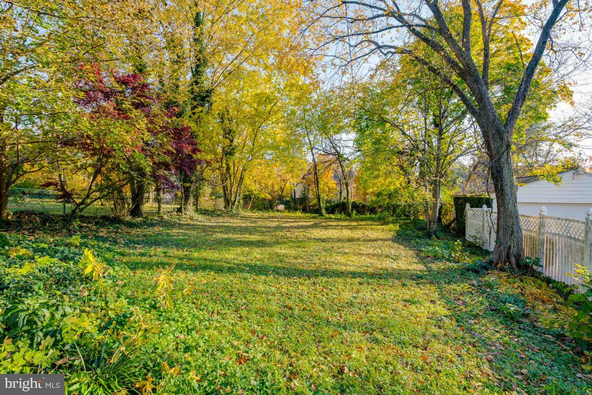 OLD HOMELAND - Residential