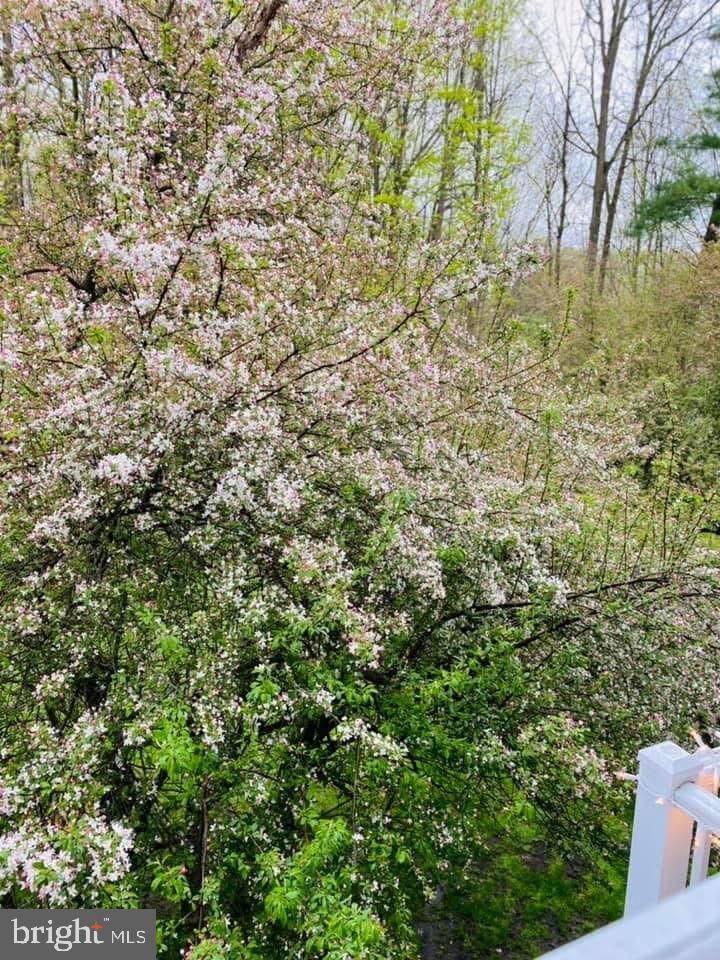 BIRCH POINTE - Residential