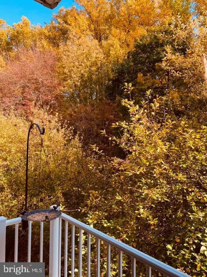 BIRCH POINTE - Residential