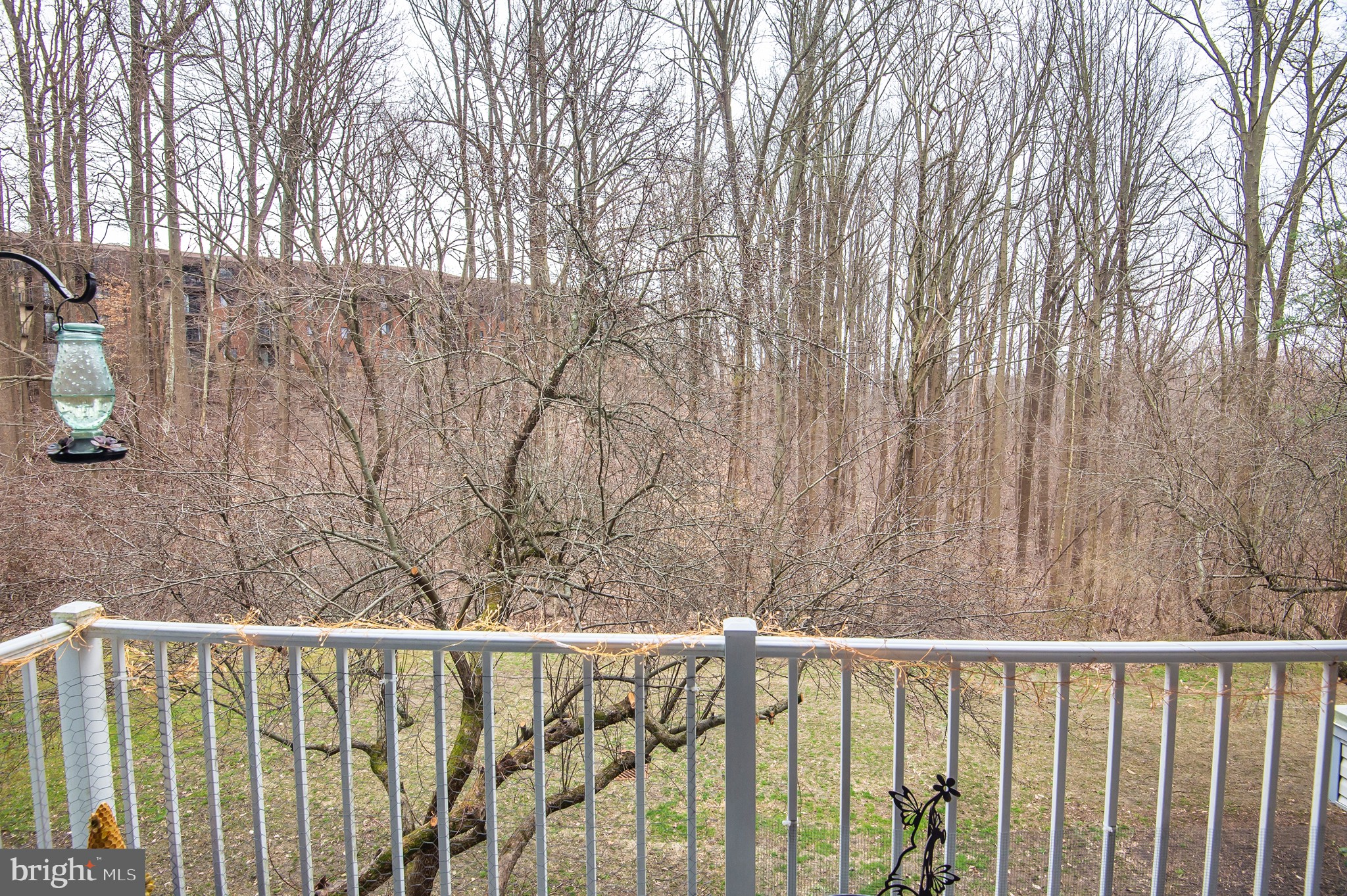 BIRCH POINTE - Residential