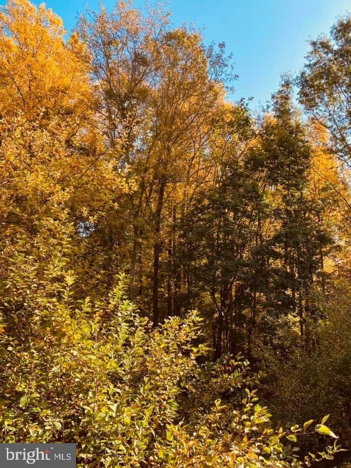 BIRCH POINTE - Residential