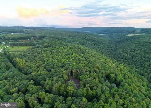 SCENIC DRIVE GRANTSVILLE MD 21536