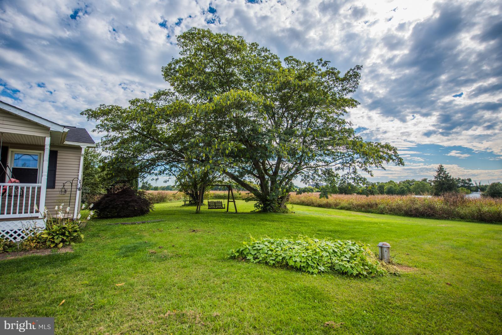 VANCLEVESVILLE - Residential