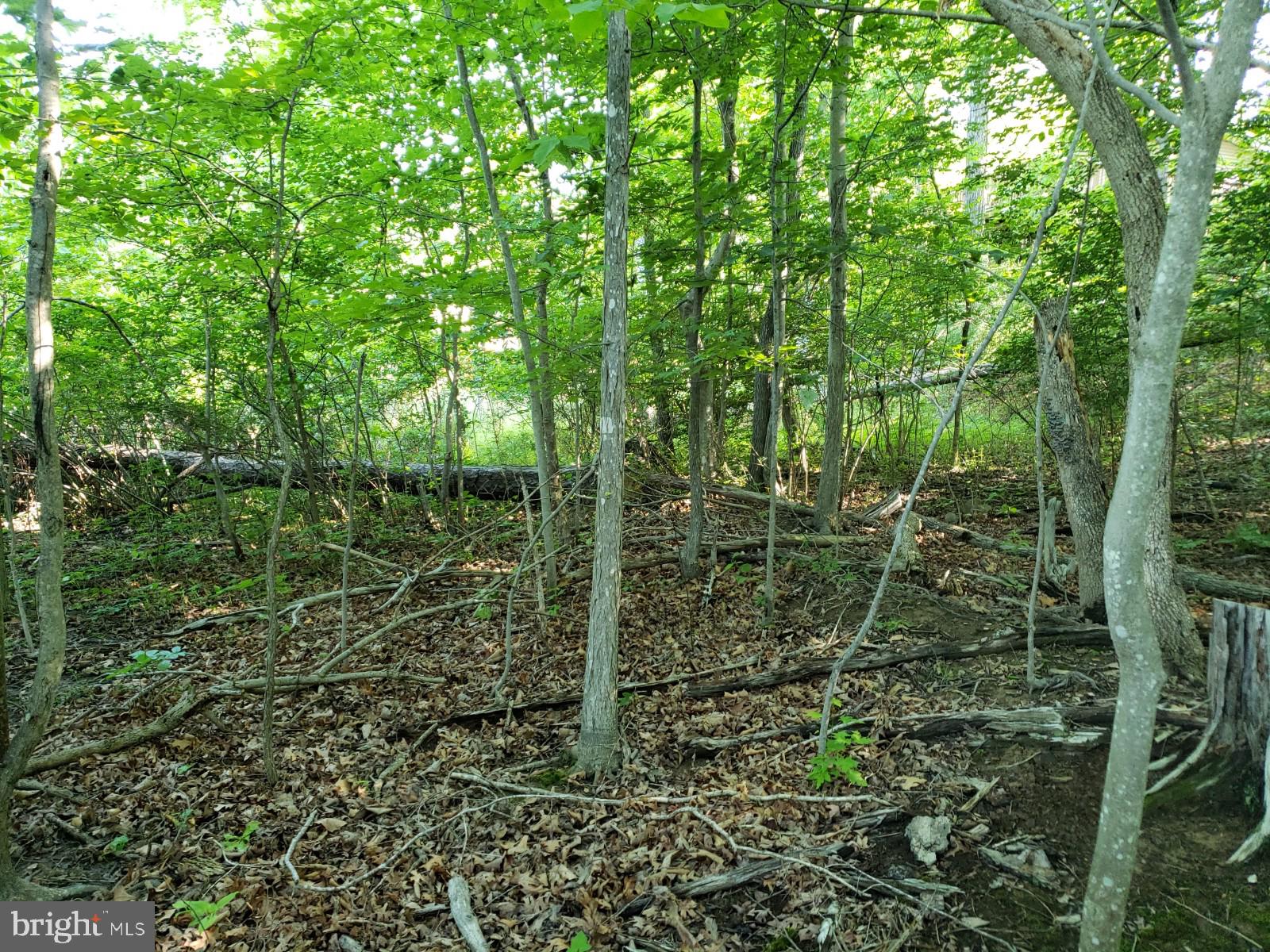 LAKE HOLIDAY ESTATES - Land