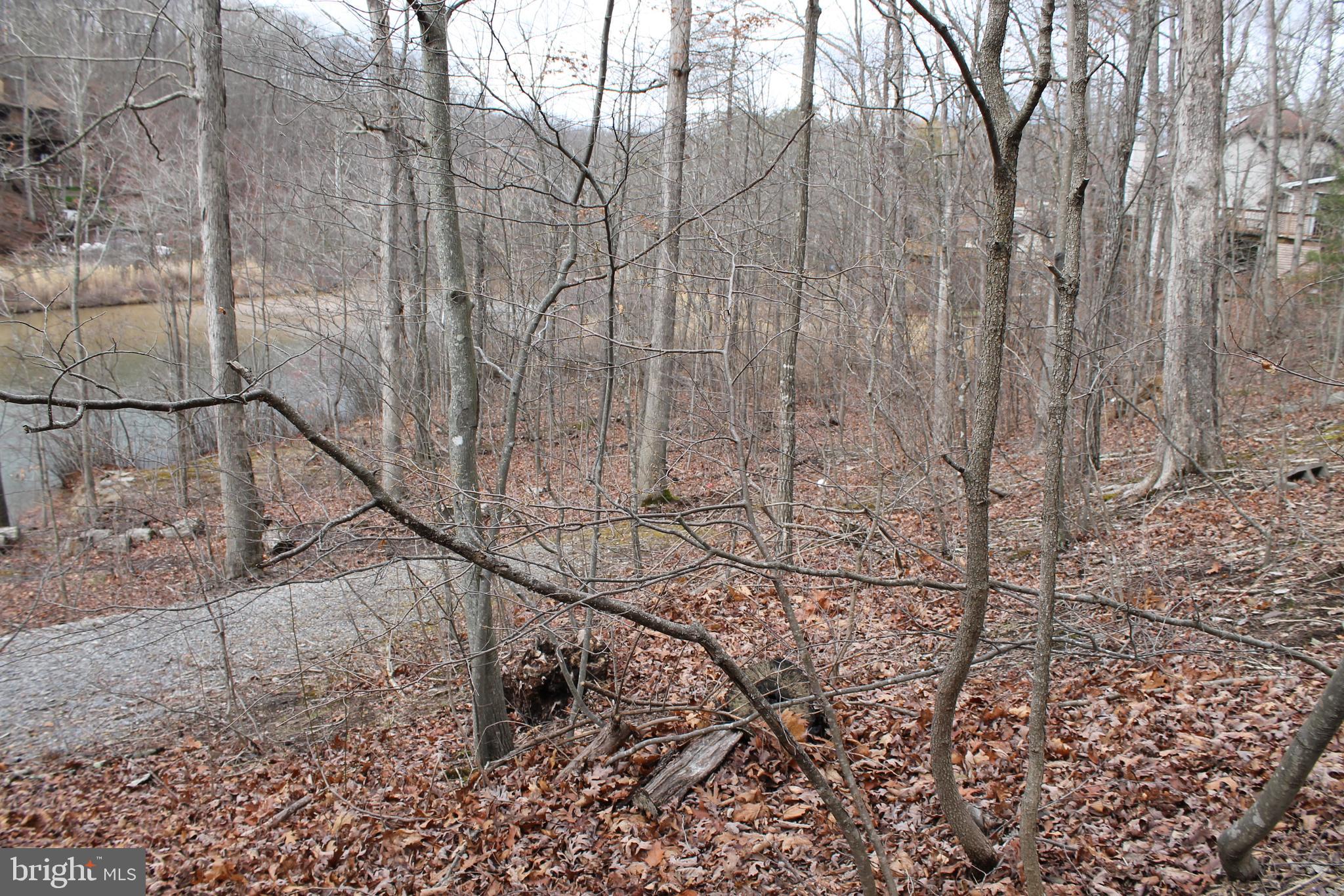 LAKE HOLIDAY ESTATES - Land