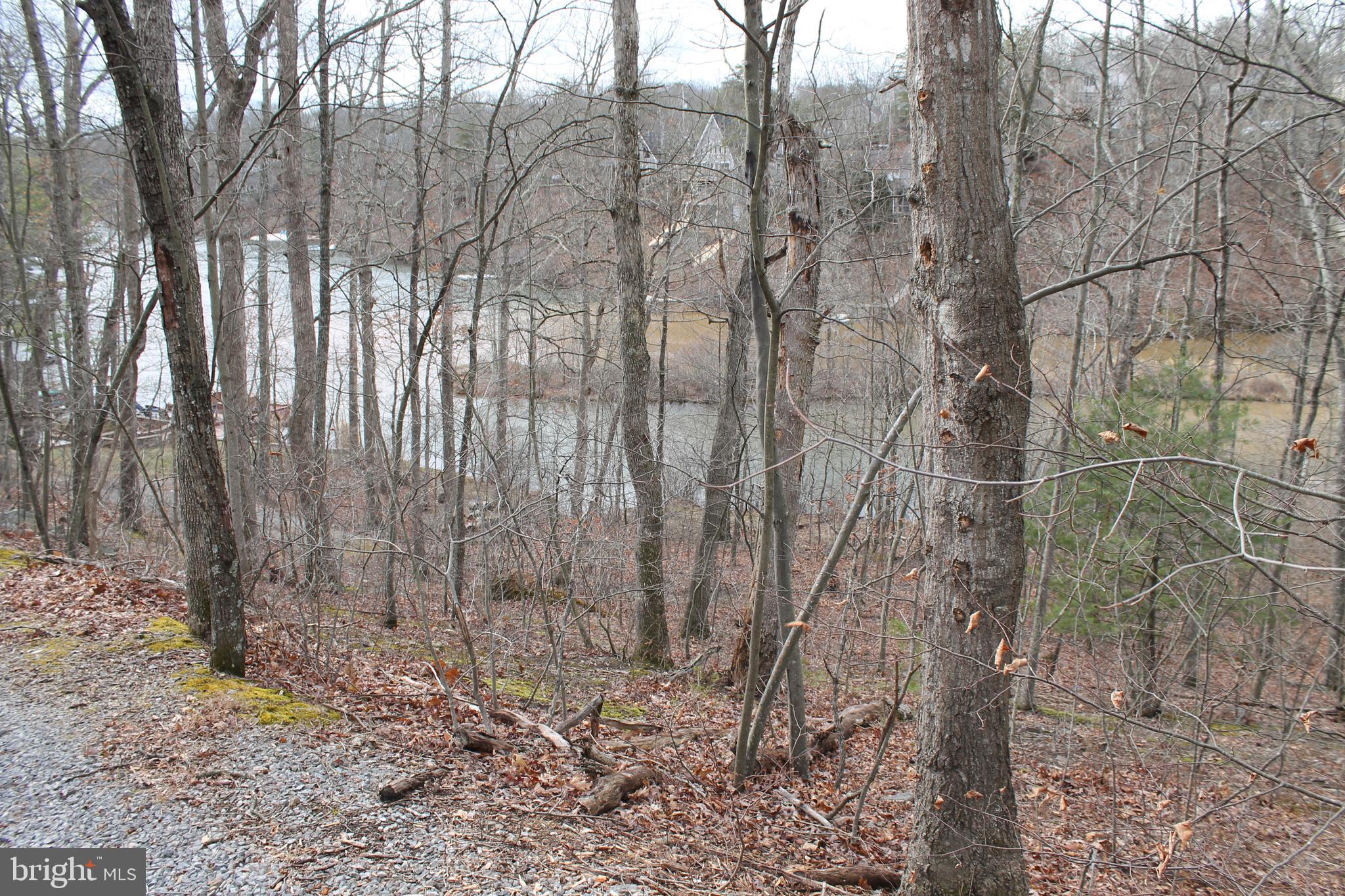 LAKE HOLIDAY ESTATES - Land