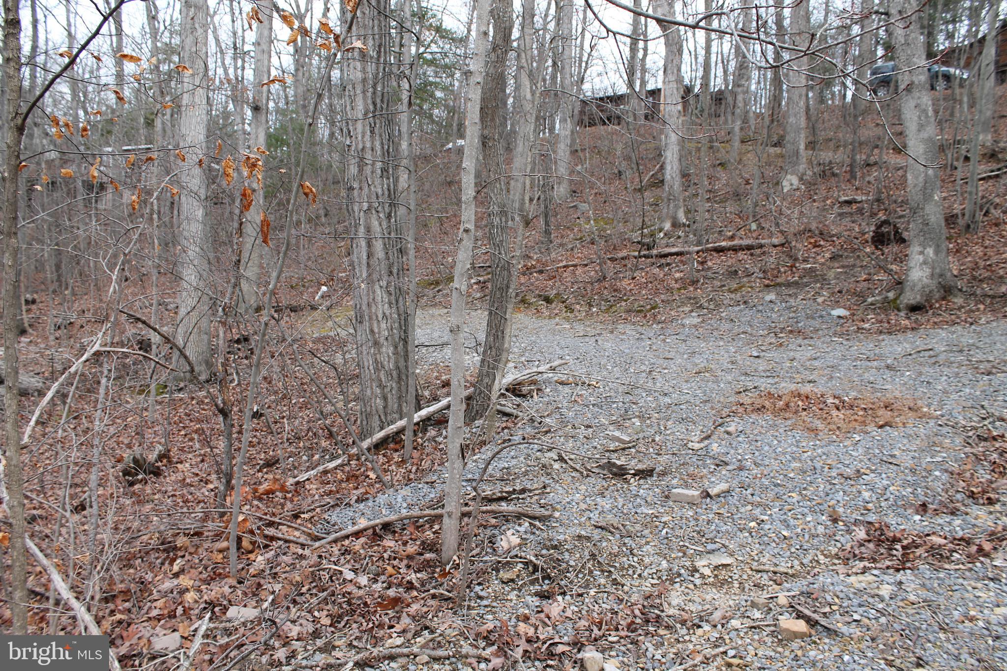 LAKE HOLIDAY ESTATES - Land