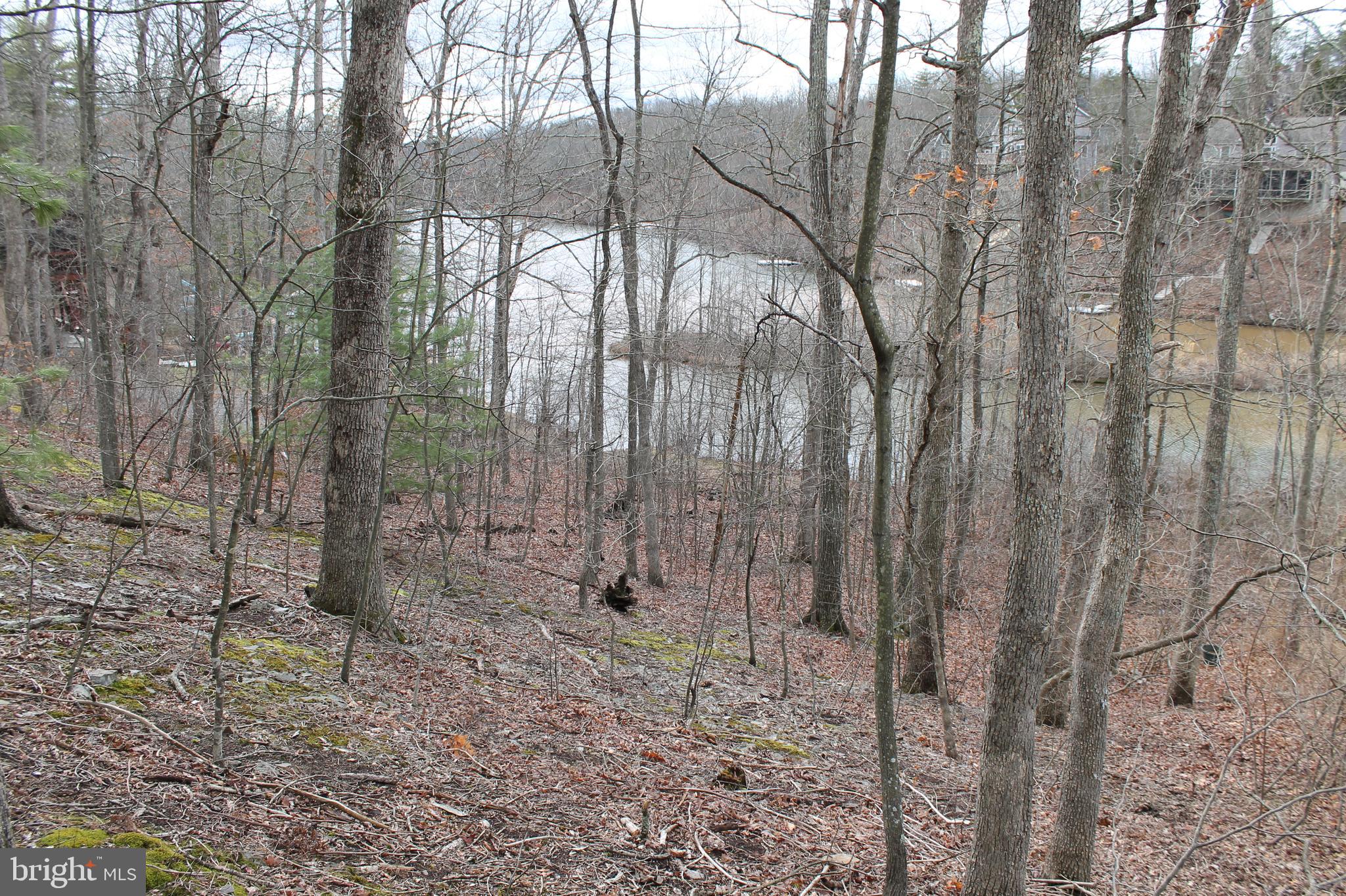 LAKE HOLIDAY ESTATES - Land